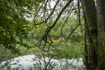 Peaceful lake landscape background. Summer day on lake shore. Peaceful lake water and green trees. Lake landscape in Bolu , Yedigoller