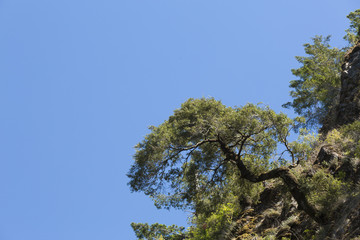 Rugged outdoor background