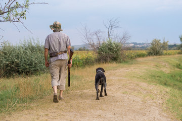 Hunter with a German trotter and spaniel, hunting a pheasant with dogs	