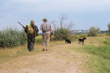 Hunter with a German trotter and spaniel, hunting a pheasant with dogs	