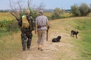 Hunter with a German trotter and spaniel, hunting a pheasant with dogs	