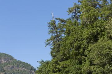 Obraz premium Rugged outdoor background