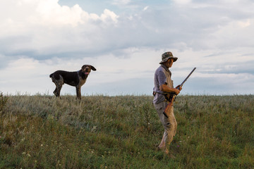 Hunter with a German trotter and spaniel, hunting a pheasant with dogs	