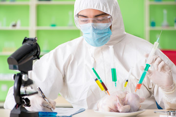 Lab assistant testing GMO chicken