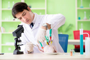 Lab assistant testing GMO chicken