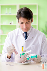 Lab assistant testing GMO chicken