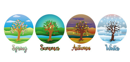 Four seasons cards, vector illustration