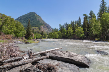 Fototapeta na wymiar Landscape with a mountain river