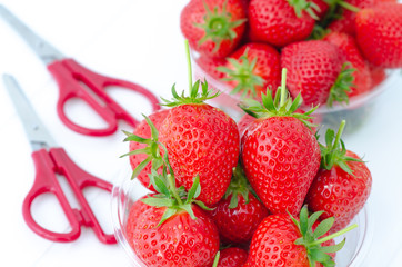 Ripe strawberries in bowl and scissors on the table. Fresh plant food garden agriculture field nature harvest greenhouse organic.