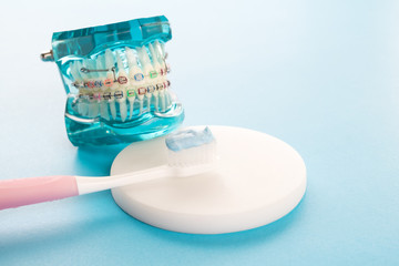 Fototapeta na wymiar orthodontic model and dentist tool - demonstration teeth model of varities of orthodontic bracket or brace