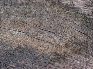 Fototapeta premium old wood wall background
