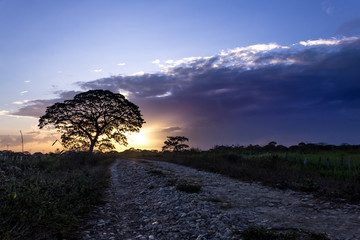 Fototapeta na wymiar beautiful sunset in landscape in venezuela