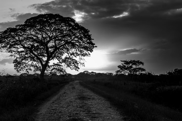 Obraz premium beautiful sunset in landscape in venezuela
