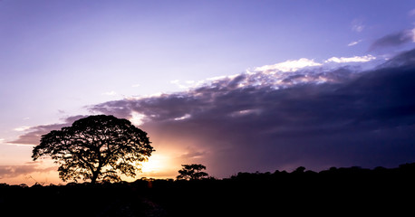 beautiful sunset in landscape in venezuela