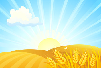 Vector cartoon illustration of autumn wheat fields, sunrise landscape © Merggy
