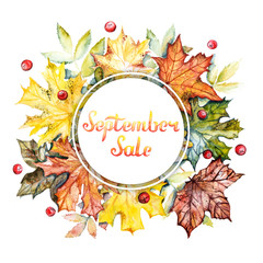 September sale discount banner. Watercolor frame with bright autumn leaves and berries on a white background