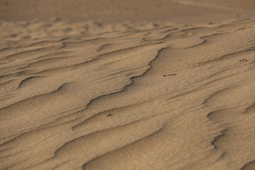 Pattern of sand surface caused by wind and nature