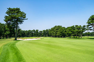 Panorama view of Golf Course where the turf is beautiful and green in Chiba Prefecture, Japan. Golf course with a rich green turf beautiful scenery.