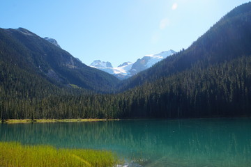 Fototapeta na wymiar Lower Joffre Lake, Canada