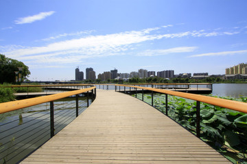 pier channels on surface of water in a park