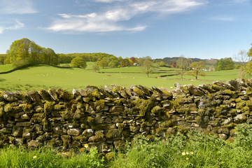 Fields above Sawrey, Lake District