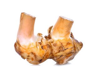 Alpinia galanga on white background