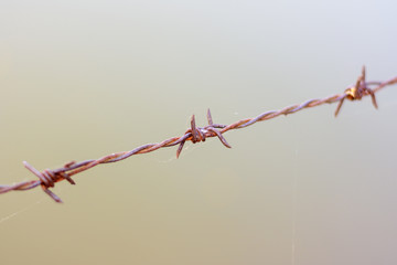 close up old barbed wire fence.