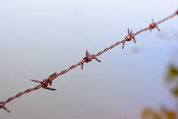 close up old barbed wire fence.