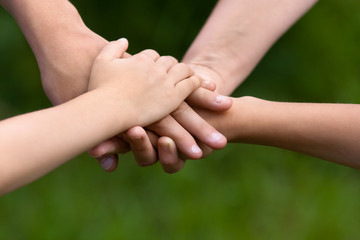 family hands on green background