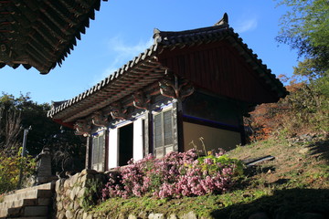 Donghwasa Buddhist Temple