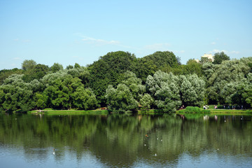 Fototapeta na wymiar Landscape city summer Park with a large lake.