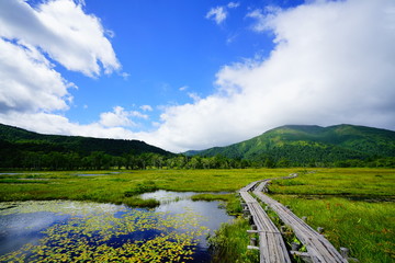 尾瀬ヶ原