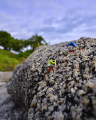 The Rock and Blue Sky on the Beach