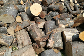Firewood 6 / A pile of firewood ready for winter