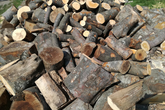 Firewood / A pile of firewood ready for winter