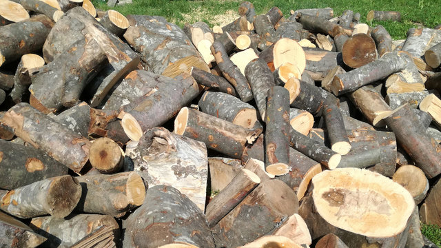 Firewood 2 / A pile of firewood ready for winter