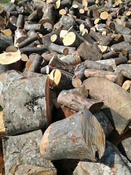 Firewood 4 / A pile of firewood ready for winter
