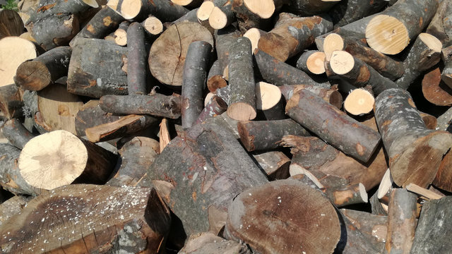 Firewood 5 / A pile of firewood ready for winter