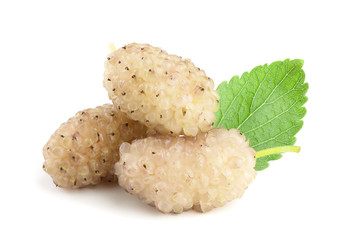 Fresh ripe white Mulberry berry with leaf isolated on white background macro