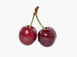 Two ripe cherries on one graft isolated on white