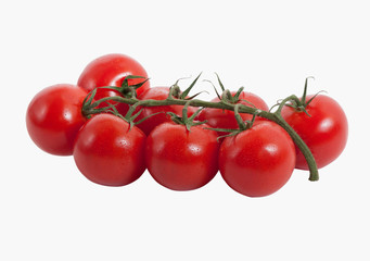Red ripe tomatoes on branch isolated on white