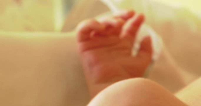 Little neonatal incubator, intensive hospital therapy: ICU, CCU, ICU, ITU. Tiny baby, small child, moving hands and fingers. Panning camera, Pan, Closeup