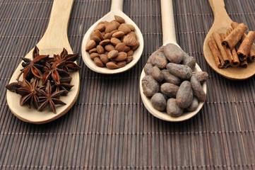 Concept with ingredients for chocolate, cocoa beans, cinnamon, anise, apricot beans on wooden spoons on brown background, side view, selective focus