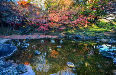 Fototapeta na wymiar Autumn garden in Tokyo, Japan