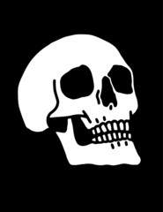 A human skull illustration white on a black background