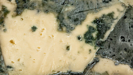 Blue cheese Gorgonzola. Mold cheese textured background.