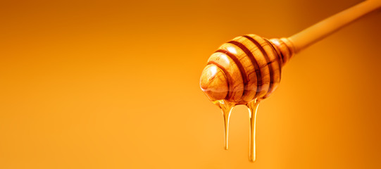 Honey dripping from wooden honey dipper over  yellow background. Sweet bee product for your design with copyspace. .