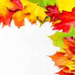 Autumn frame composition with autumn leaves on white background with Copy space.  Flat lay, top view.