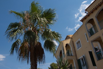 Fototapeta na wymiar Residential house with a palm tree in Cala Pi on Mallorca 