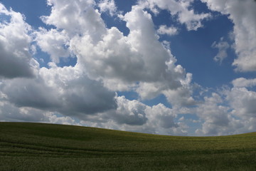 Fototapeta na wymiar Wolkenhimmel und Getreidefeld